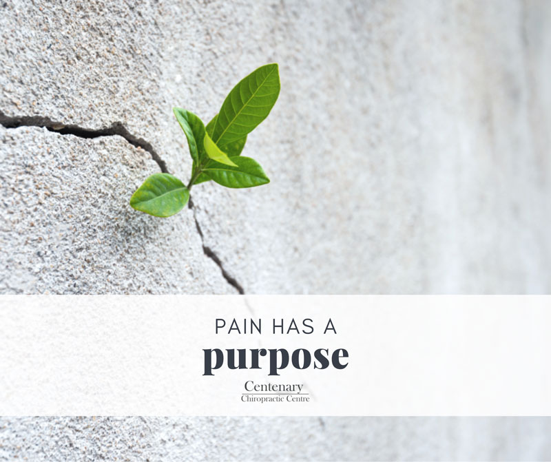 Your Pain Has A Purpose | The Benefits Of Chiropractic Care And Pain Relief