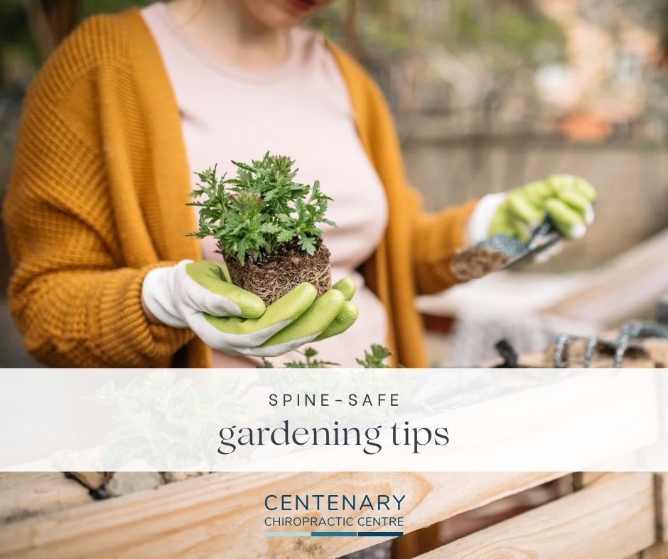 Spine-Safe Gardening Tips | Centenary Chiropractic Centre